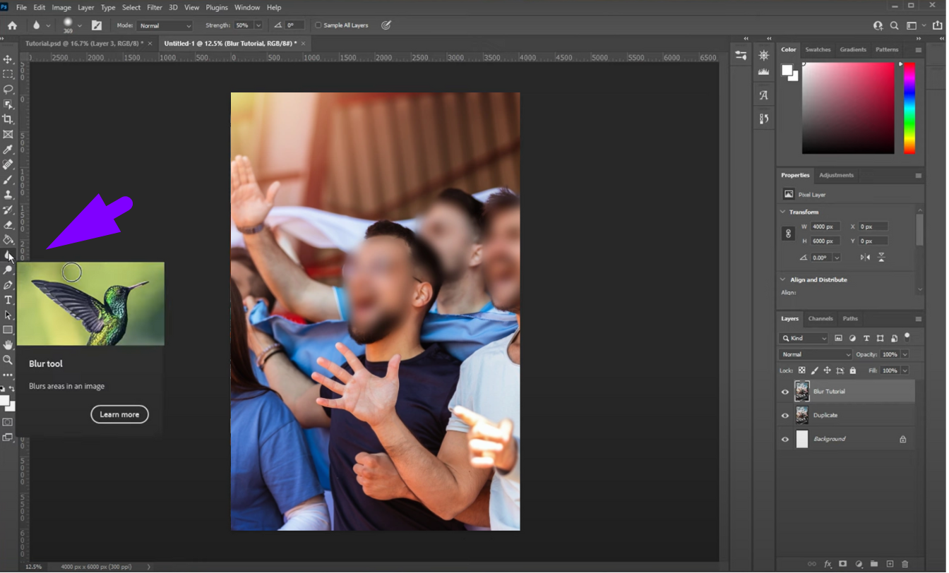 Screenshot of the Photoshop interface to point out the Blur Tool location and how to use it.