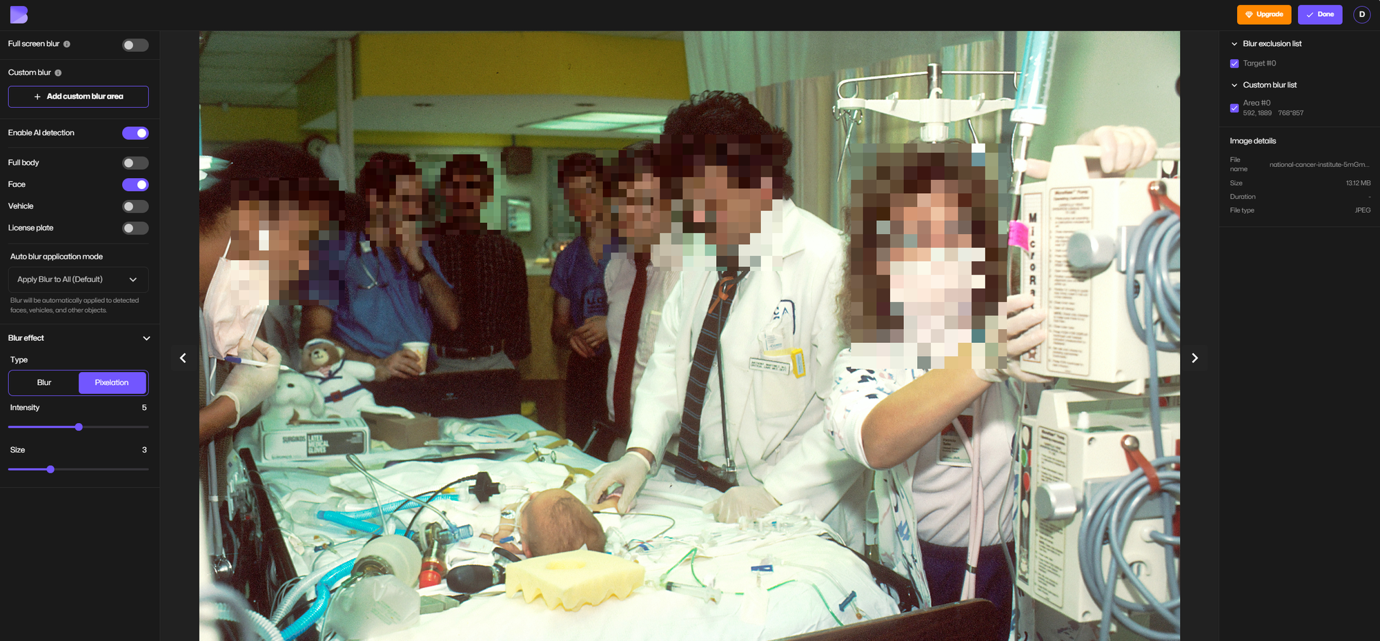 Image pixelated by BlurMe pixelator tool.