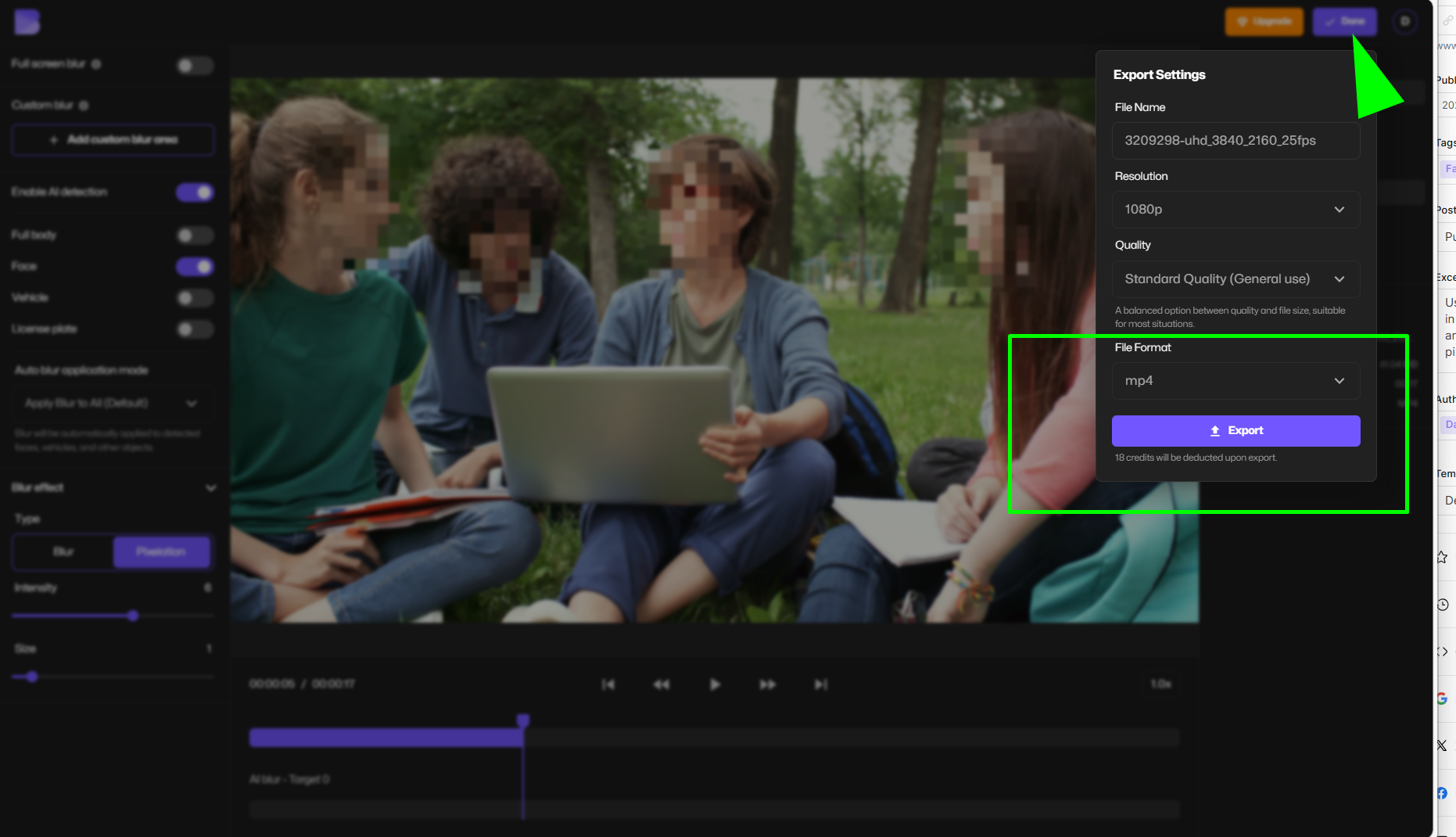 video preview window displaying pixelated faces