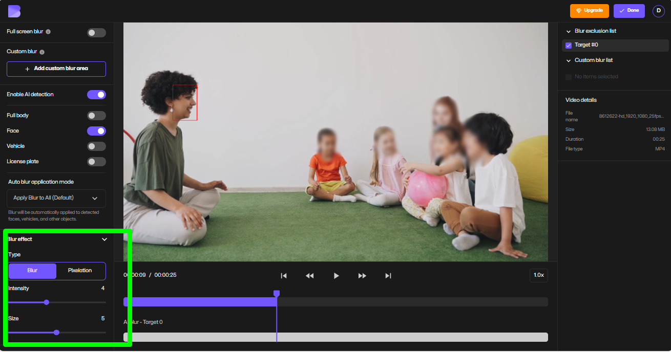 Passen Sie Größe, Intensität und Nachverfolgung mit dem Online-Video-Editor von BlurMe an