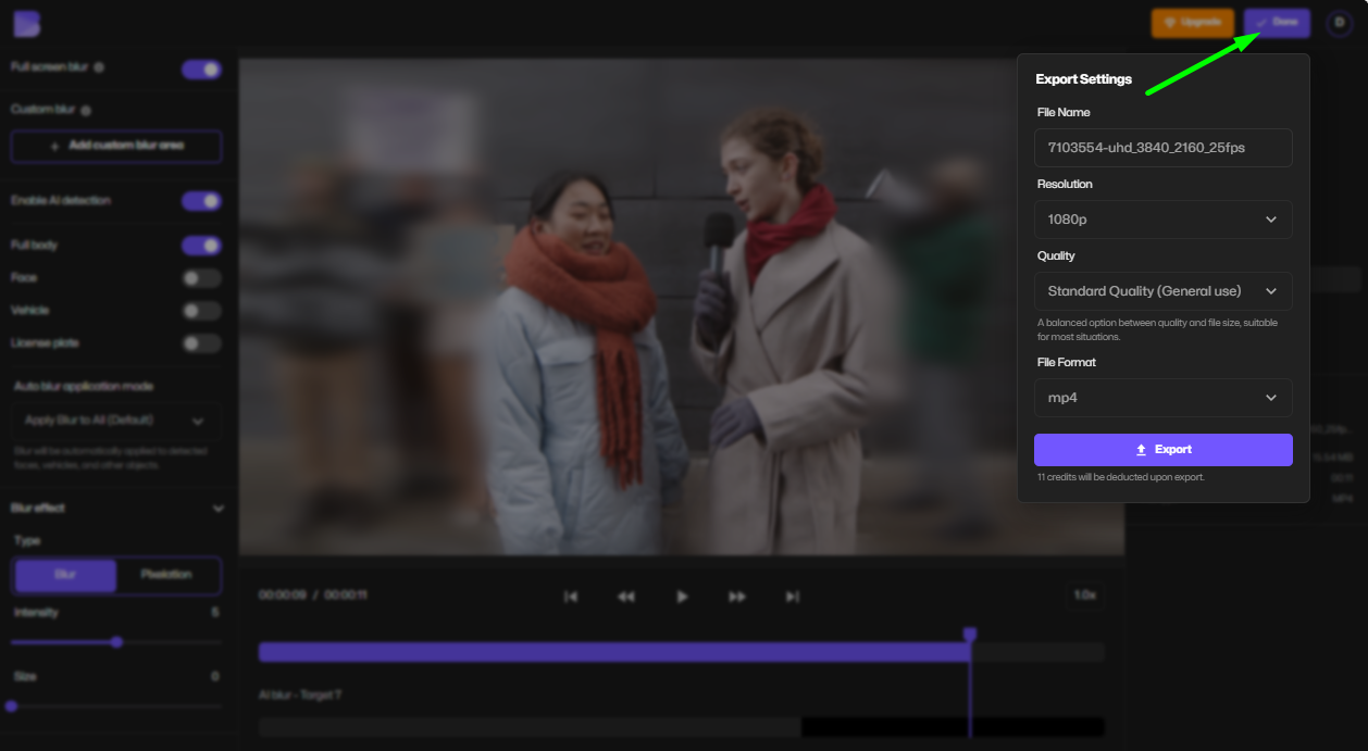 Export blurred background video.