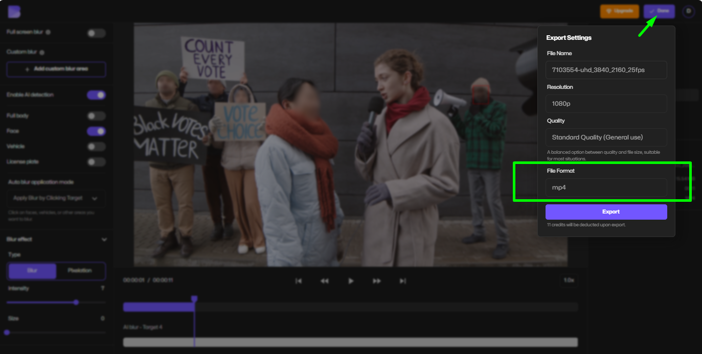 Wählen Sie MP4-Ausgabeformat im kostenlosen BlurMe MOV zu MP4 Konverter.