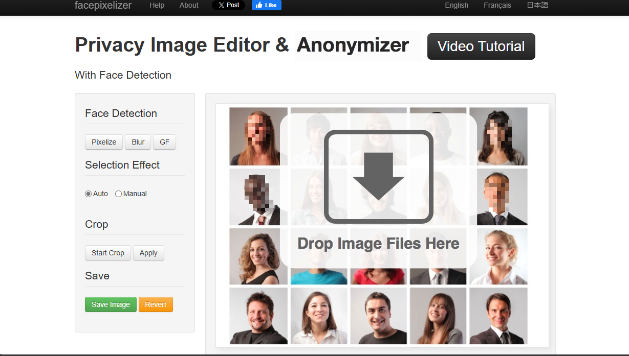 Facepixelizer homepage.