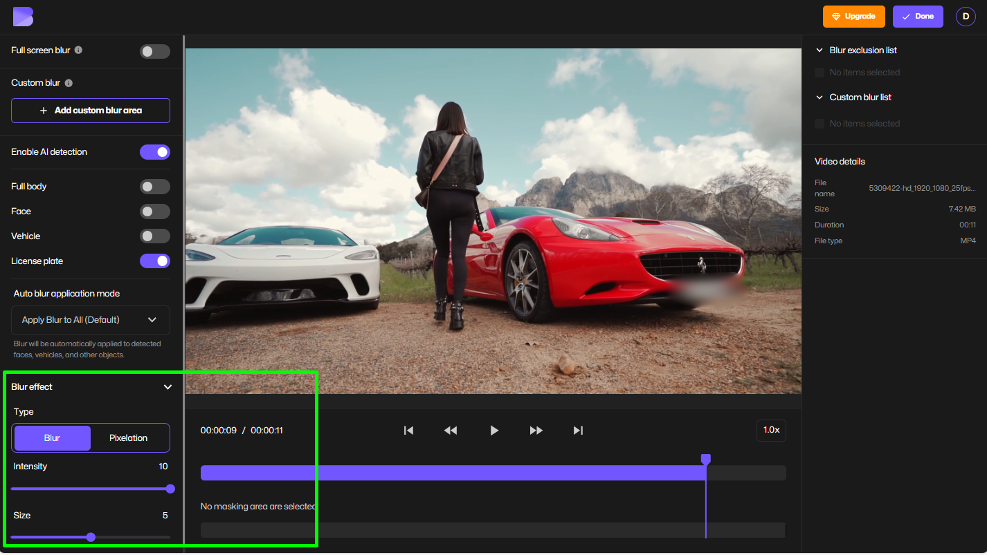 adjusting blur intensity or style for license plates in BlurMe.