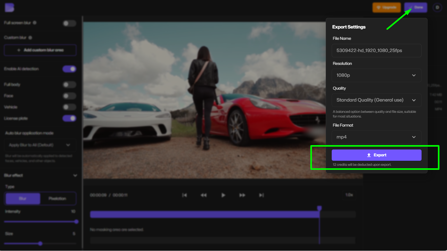 exporting blurred license plate video from BlurMe