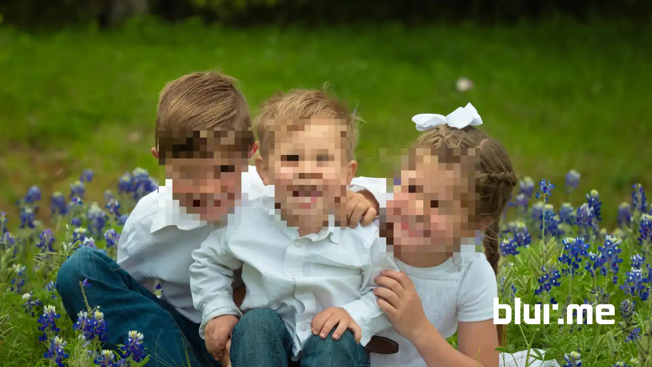 iPhone screen showing BlurMe online pixelate tool interface demonstrating how to pixelate a picture on iPhone easily.