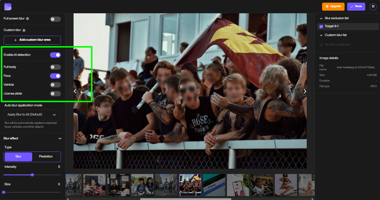 흐림 유형을 선택하는 이미지 흐림 도구 편집기 화면