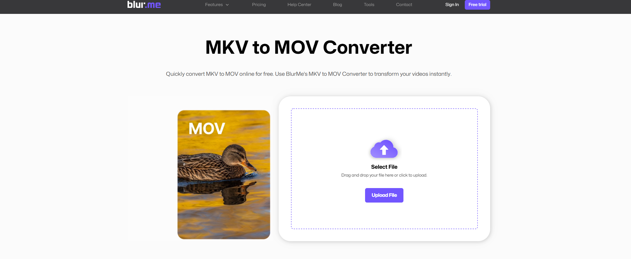 mkv to mov converter page.